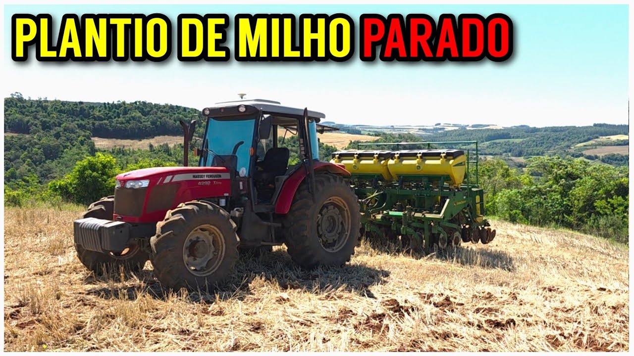Plantando MILHO PARA SILAGEM (Furou o pneu da plantadeira)