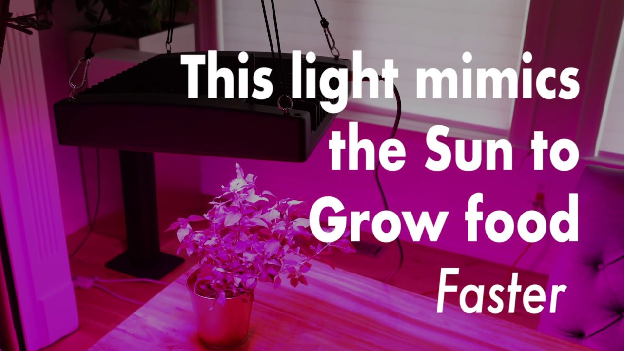 Energy Device with LED Full Spectrum Grow Light (includes: UVB, Lasers, Infrared energy)