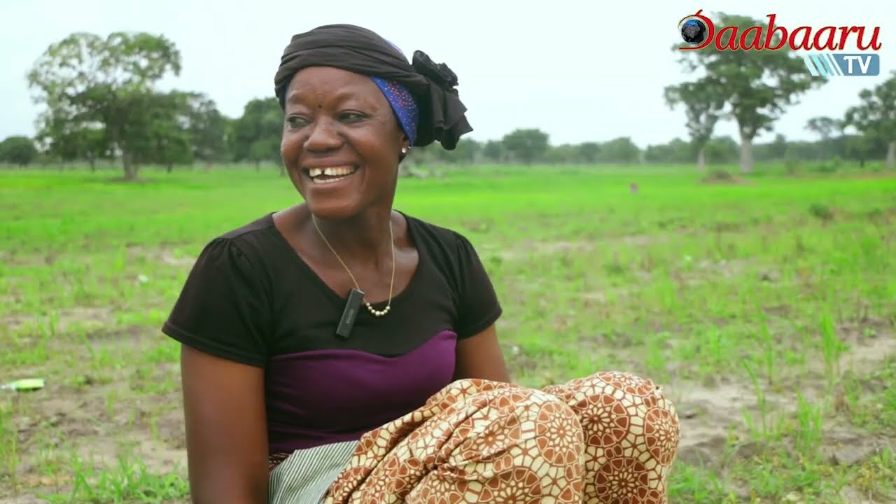Réussites paysannes dans le domaine agricole dans le Borgou/Alibori et dans la Région centre du Togo