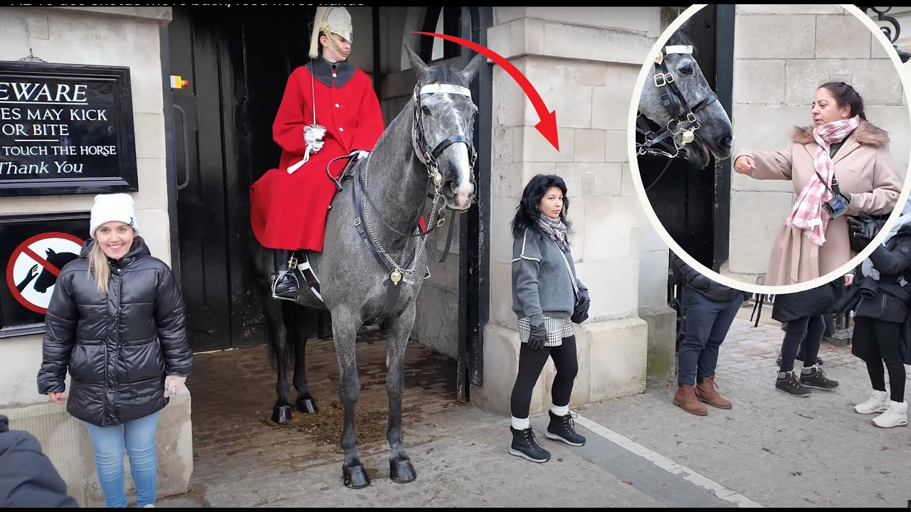 Caught in the Act: Tourist Called Out by Guard for Ignoring the Rules at Horse Guard