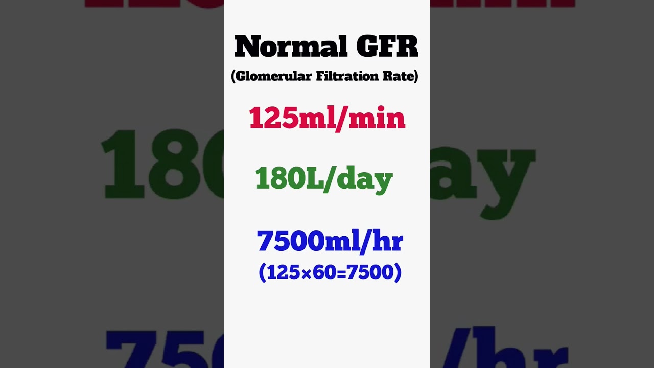 Glomerular Filtration Rate of Kidney || GFR Rate #kidney #nephrons #nursing #anatomy #GFR #shorts