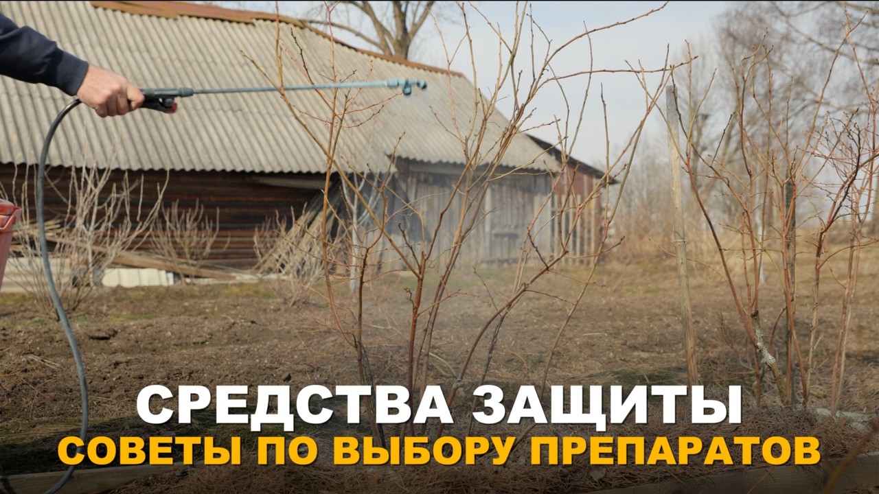 УМНАЯ ЗАЩИТА РАСТЕНИЙ: обзор средств защиты сада и огорода.