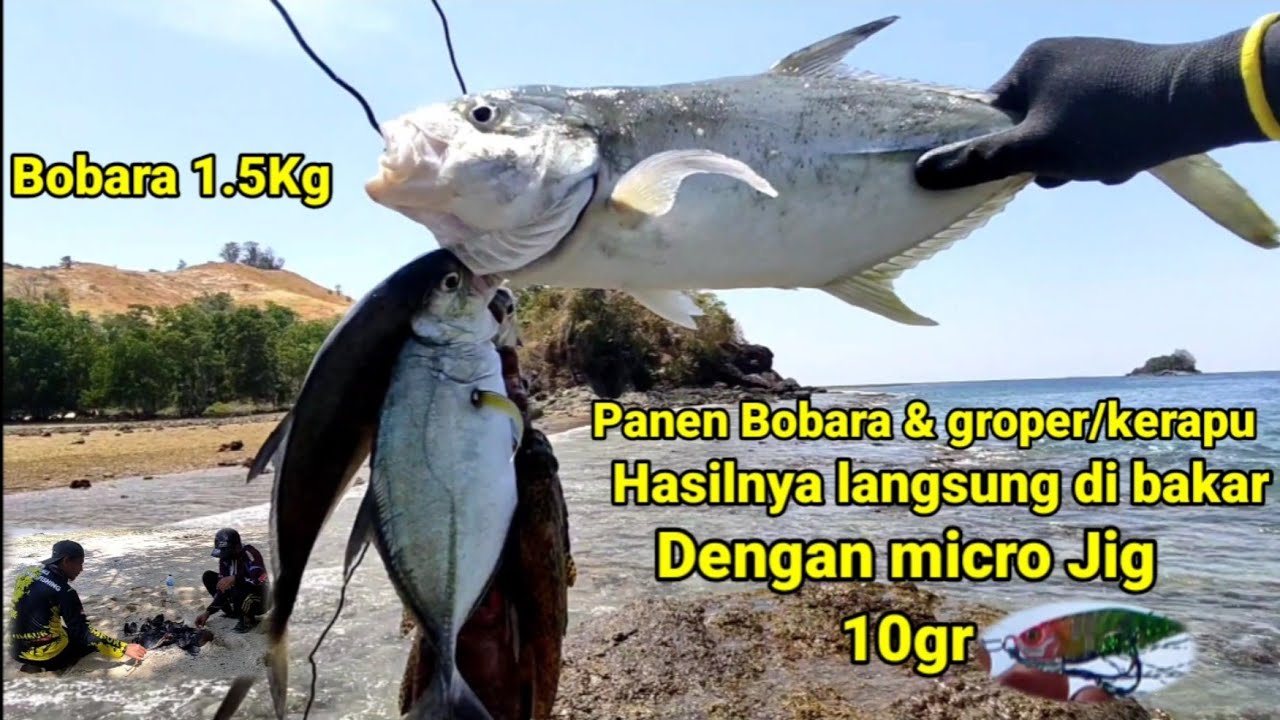 Mancing dengan teknik casting, micro jig 10gr, hasilnya langsung di bakar