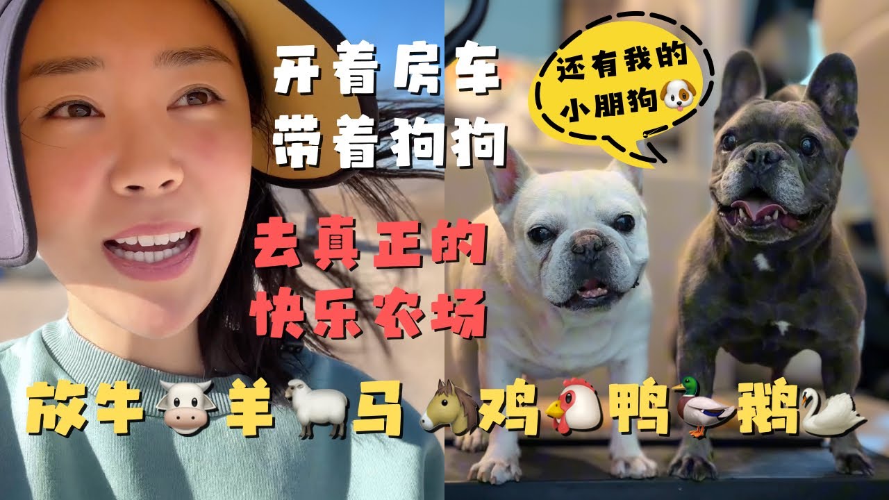 开着房车 带着狗狗去美国华人开的快乐农场 露营⛺️撒欢儿 狗娃表示：真见世面啦！