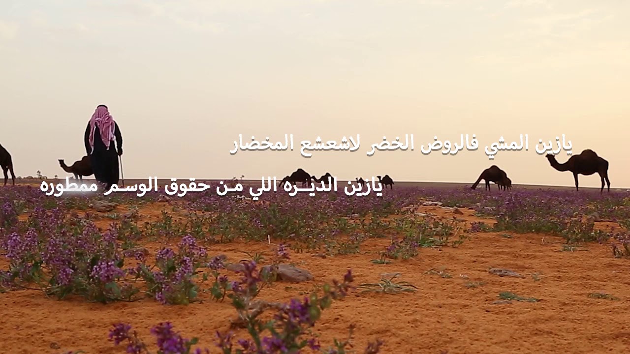 الروض الخضر || كلمات : سعد بن جدلان || أداء : عبدالعزيز العليوي