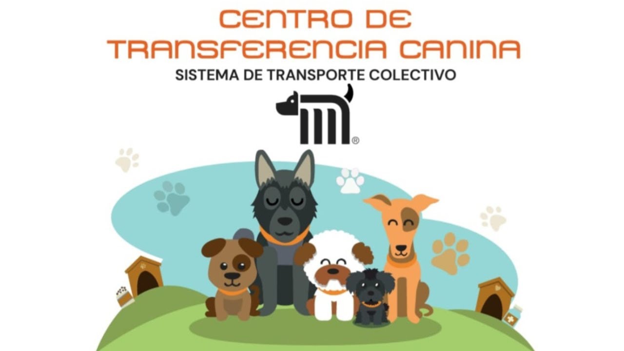 As&iacute; es el REFUGIO PARA PERROS en el METRO DE LA CDMX