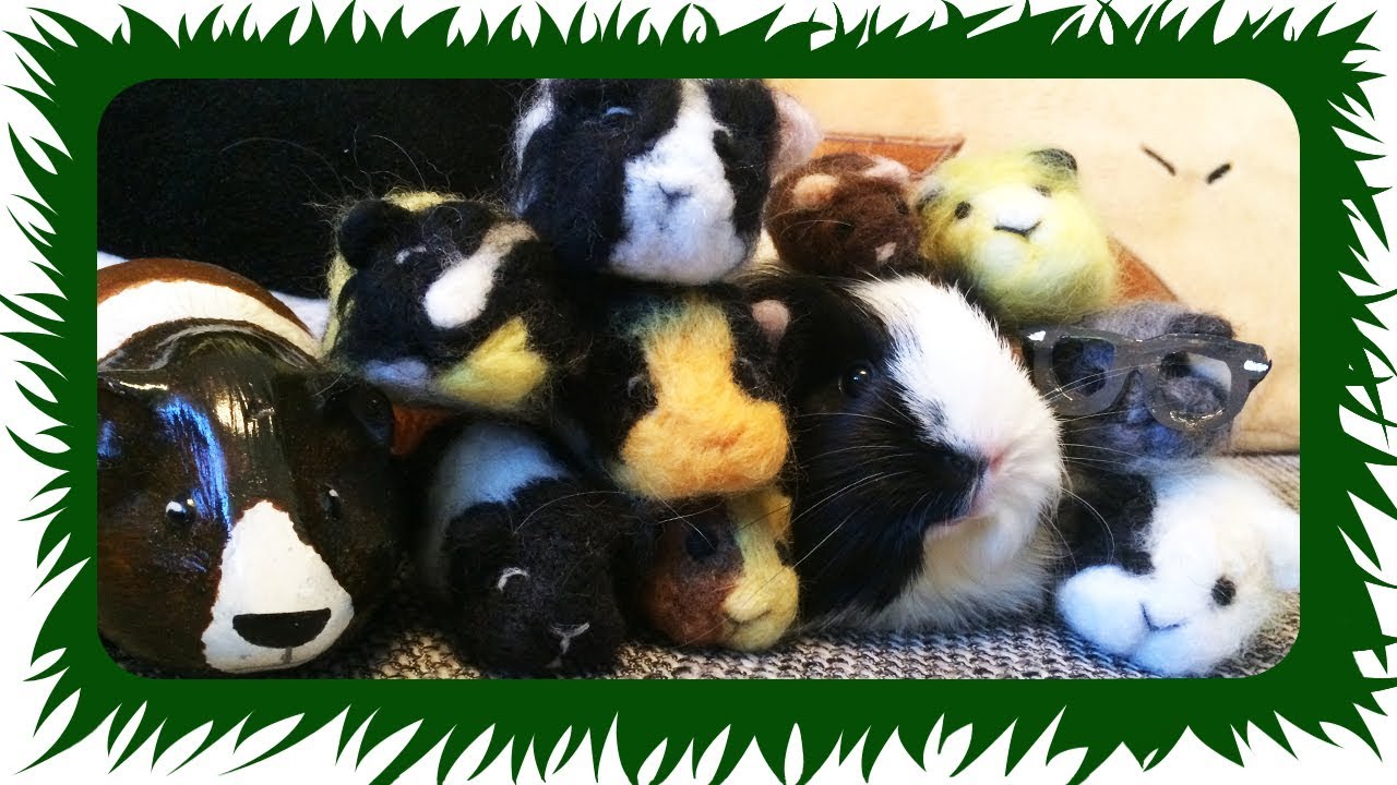 Onigiri's NEUE Familie ❤️️ DANKE! ❤️️ | Die Meeries