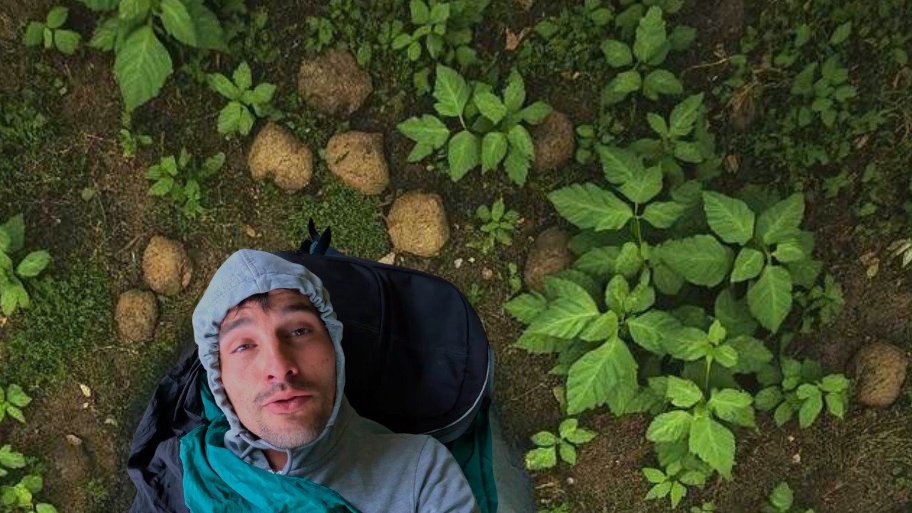 Forced to Stealth Camp in POO 💩 Hitchhiking Europe, No Money - Day 9