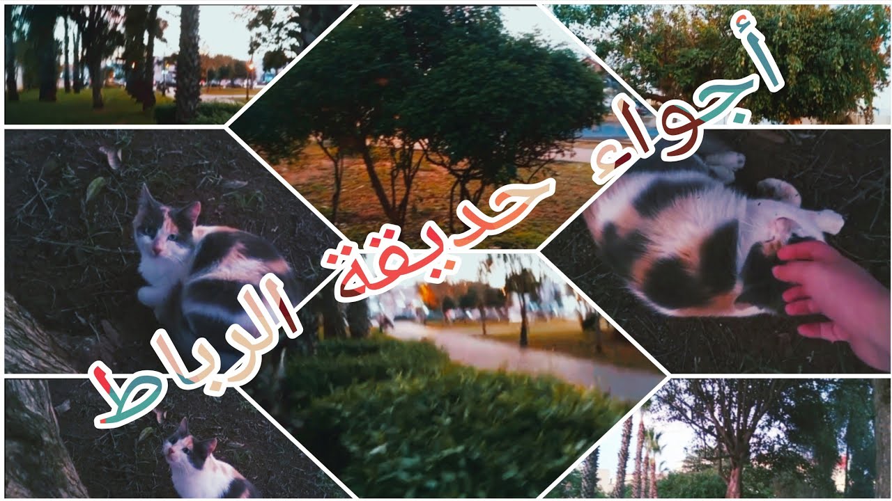 أغنية كلام آخر بصوت مولاي أحمد الحسني… والحديقة زادت جمال على جمال 🎵💚