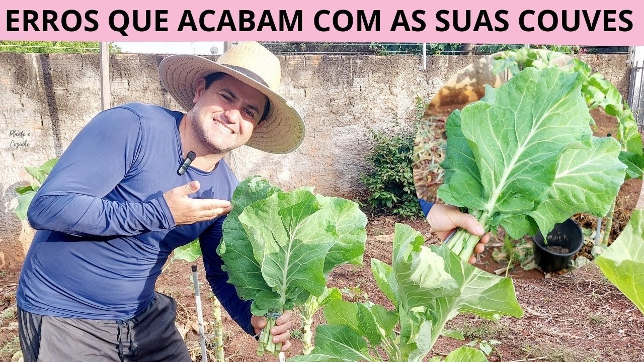 PARE de MATAR sua COUVE! Erros que estão ACABANDO com sua HORTA (e como corrigir hoje!)