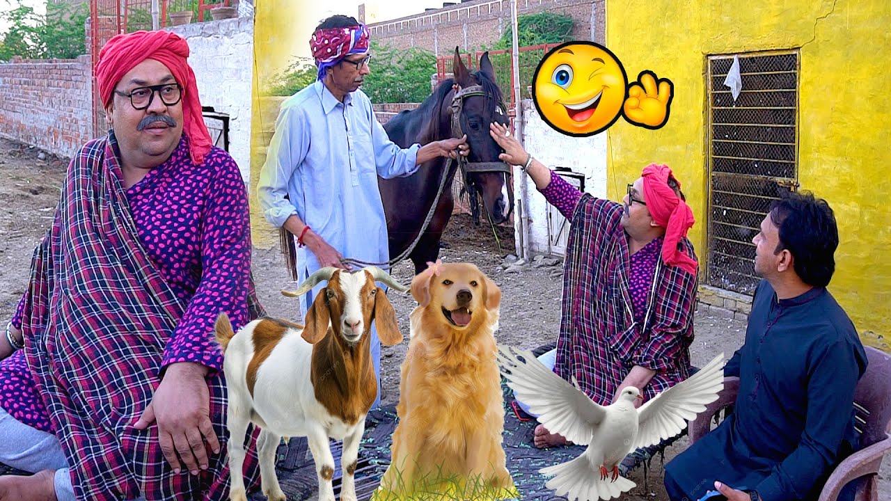 Tasleem Abbas and Soni New Funny Show || Animal Prank ||@TasleemAbbasOfficial