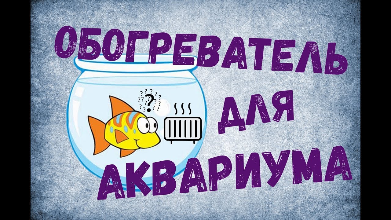 Обогреватель для аквариума. Как подобрать обогреватель и правильно установить.