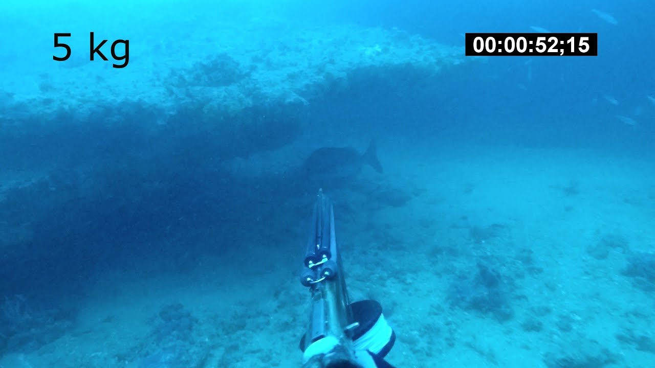 Pescando urtas al acecho por Olivier Simon del equipo soriatec
