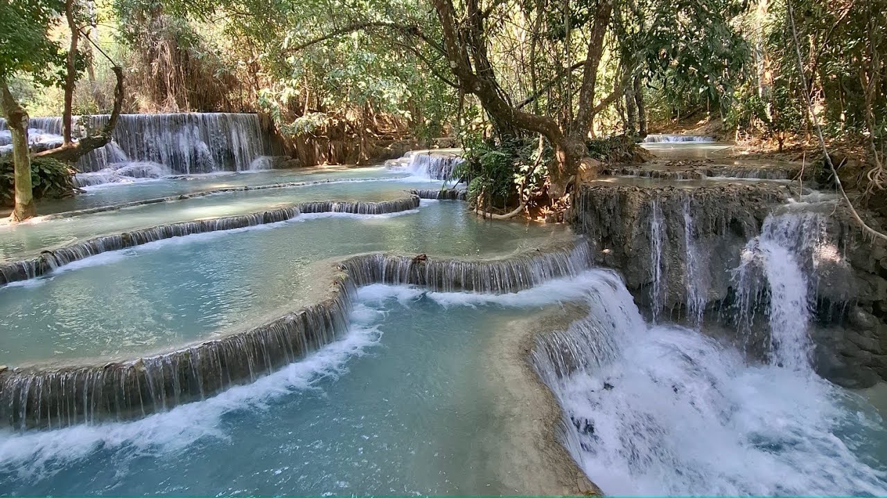 LAOS 2026 || Kuangsi WaterFalls in Luang Prabang  || 15 Feb 2026 || Full video