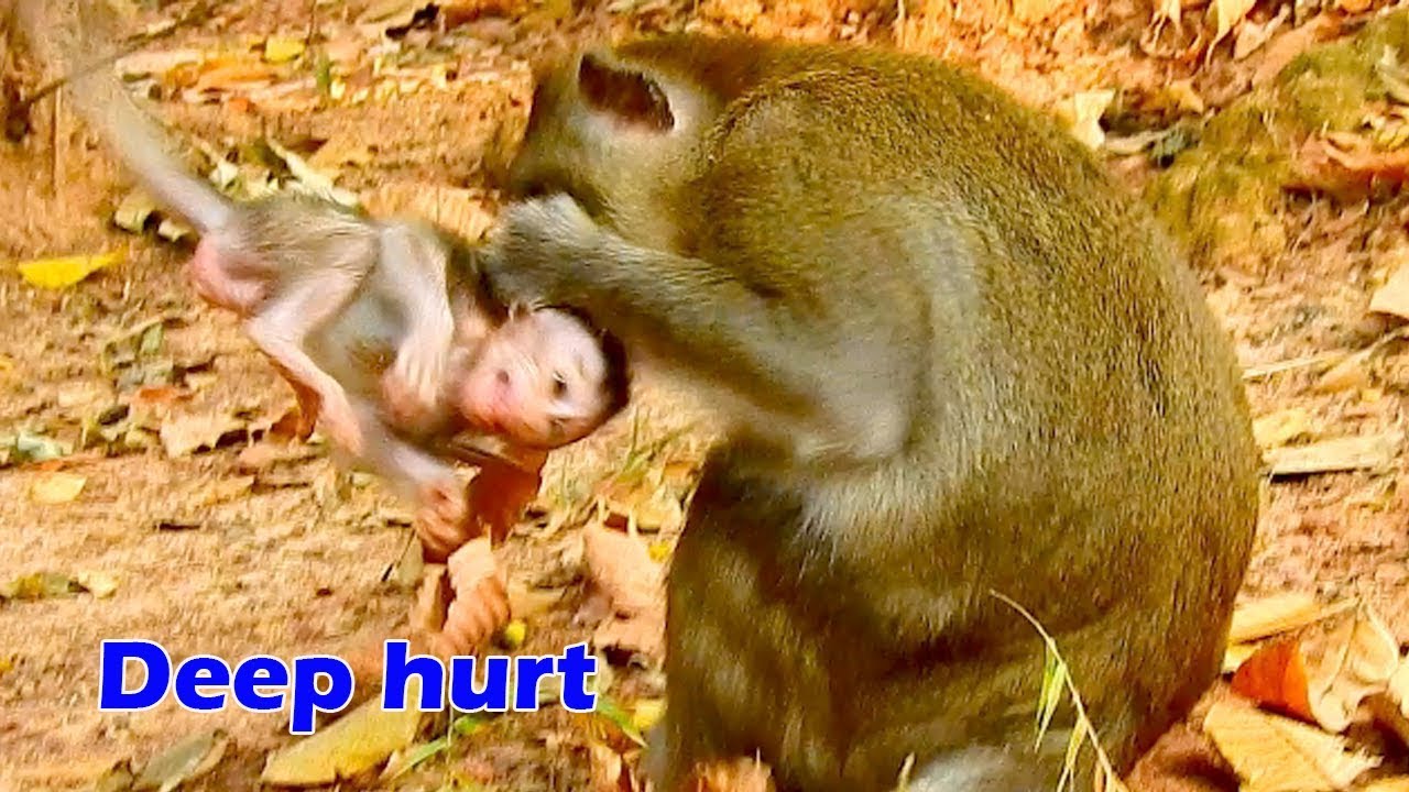 Million hurt ! Almost breaking heart, Monster mom Anna bite her own baby Alba no reason, Pity Alba