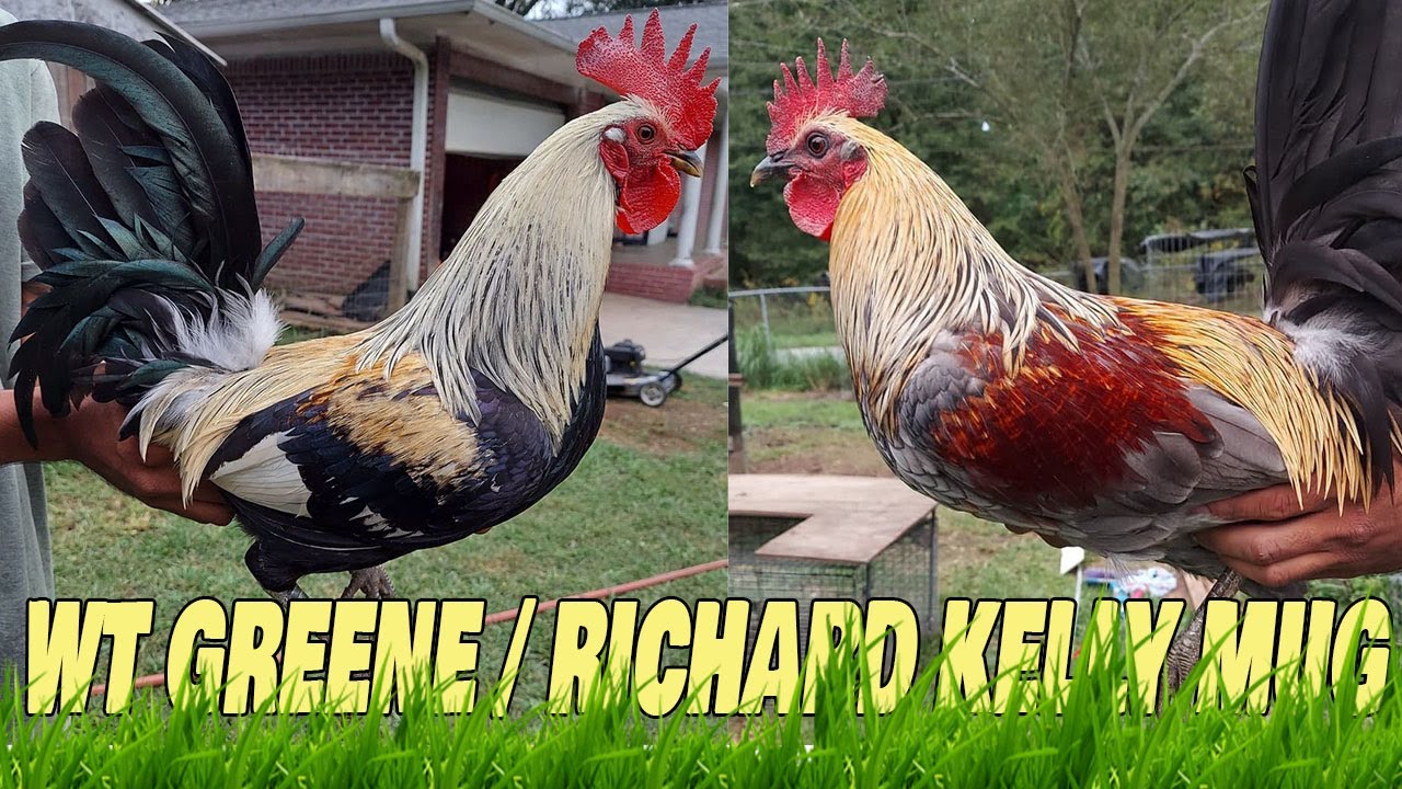 Красивая кружка WT Greene Grey Richard Kelly от A&N Farm Visit Georgia