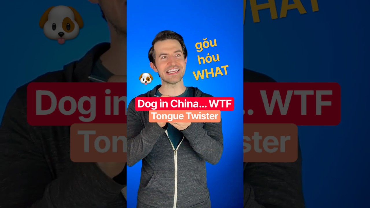 Dog in China (WTF)
