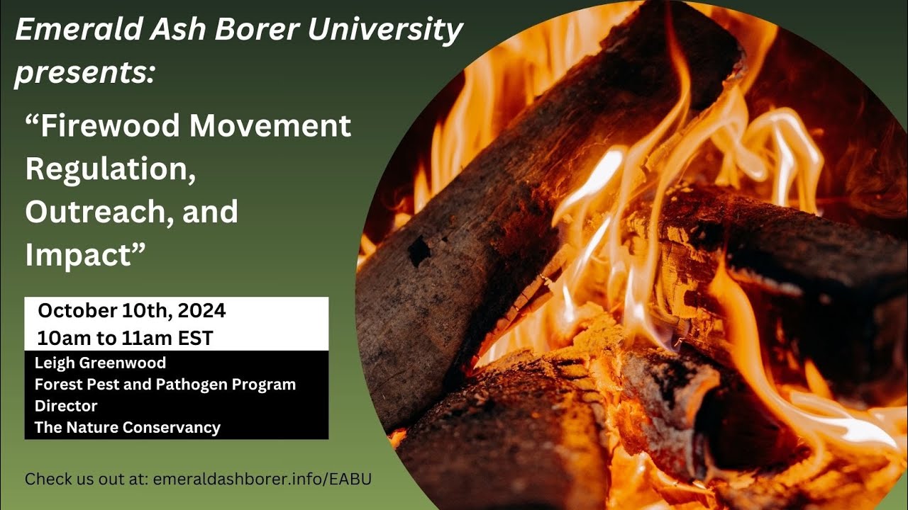 Firewood Movement Regulation, Outreach, and Impact