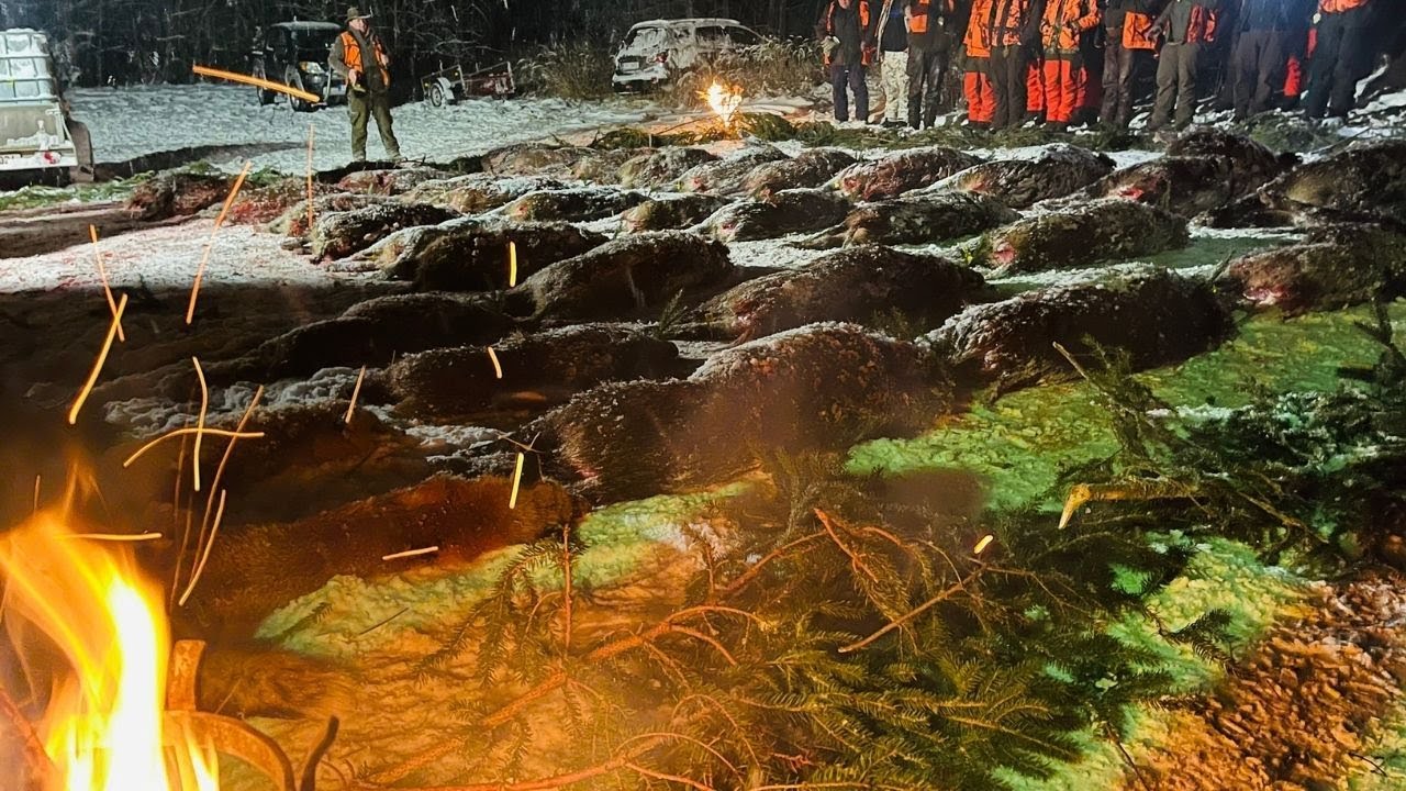 🐗 VIP nah&aacute;ňka | 9. 1. 2026 🍀