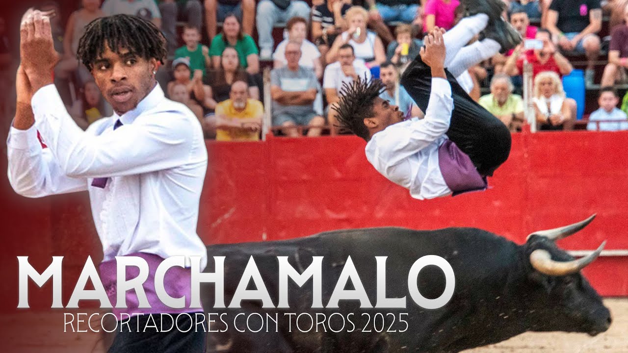 🏆 MARCHAMALO 2025 &middot; RECORTADORES CON TOROS BRAVOS