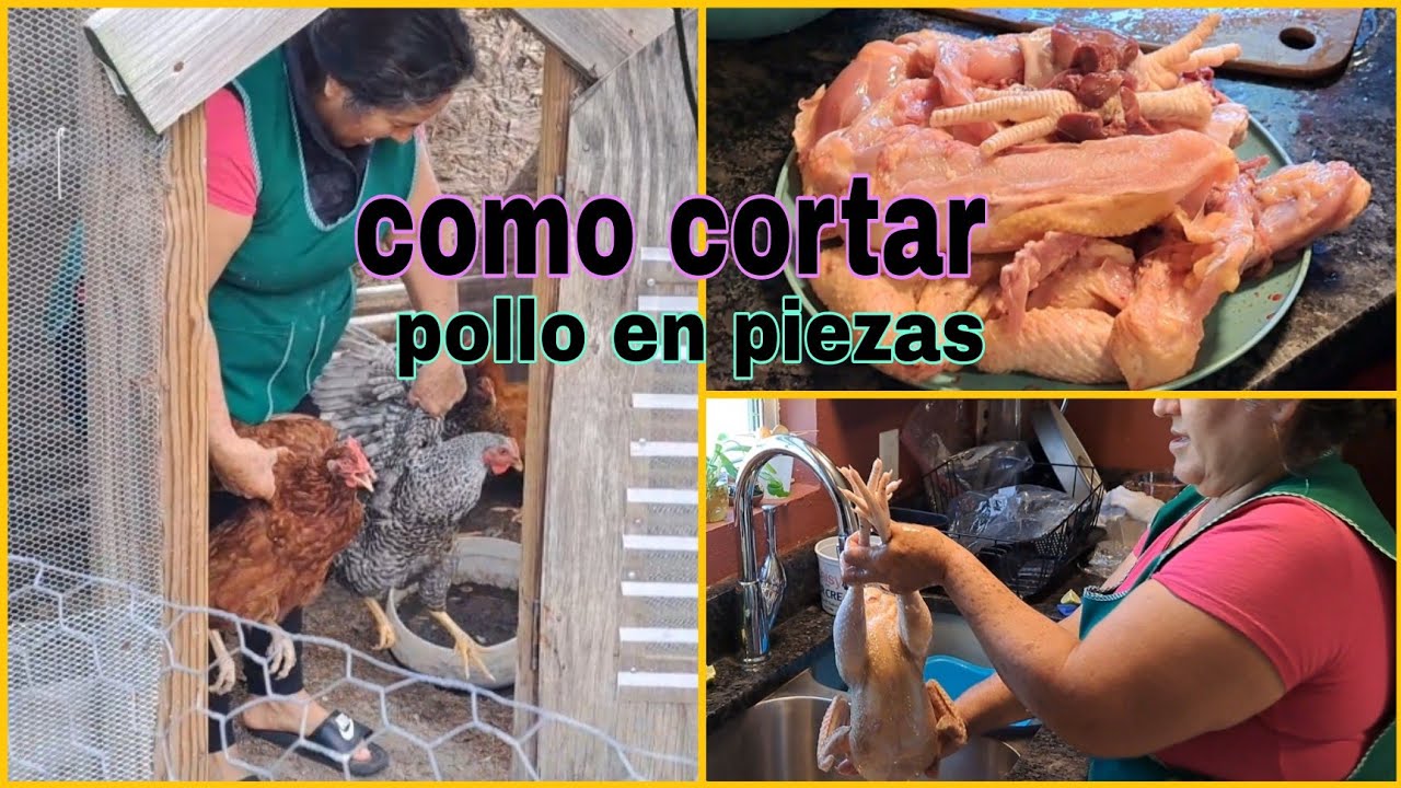 como cortar un pollo entero en piezas | trucos y consejos para destazar un pollo entero en USA
