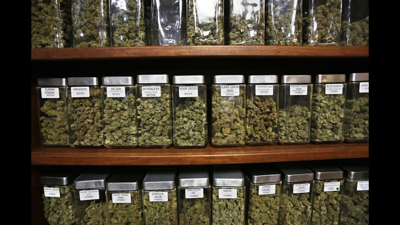 Best Weed Dispensaries? New York vs Chicago.