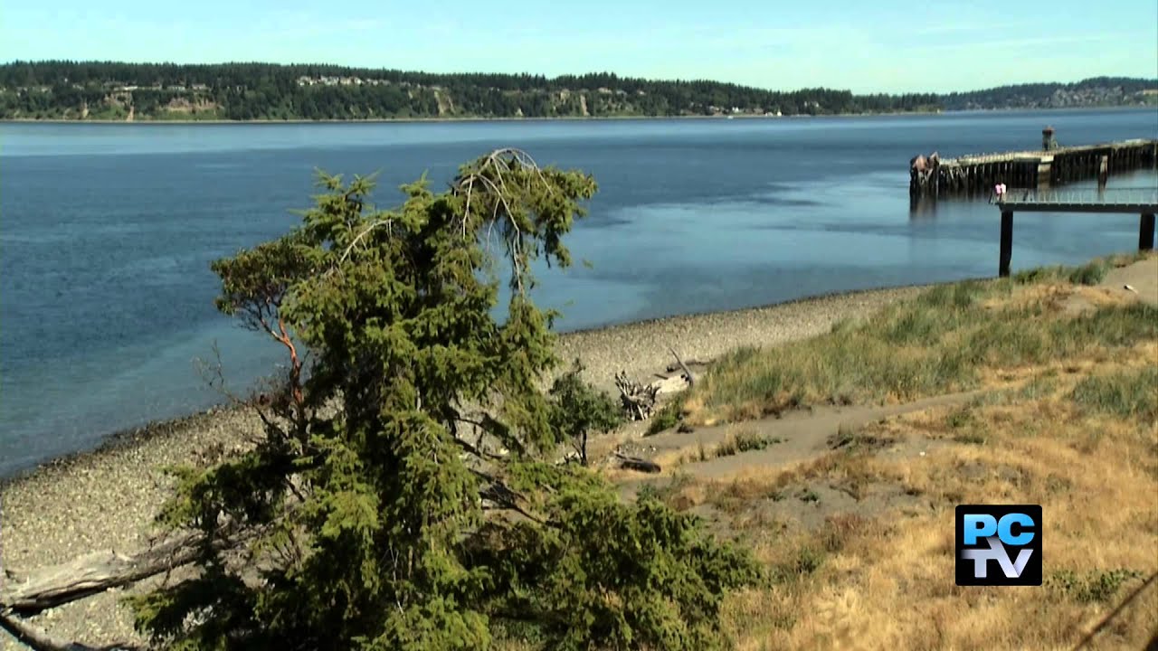 Chambers Creek Regional Park boasts 5K trail, beach, & playground with a view