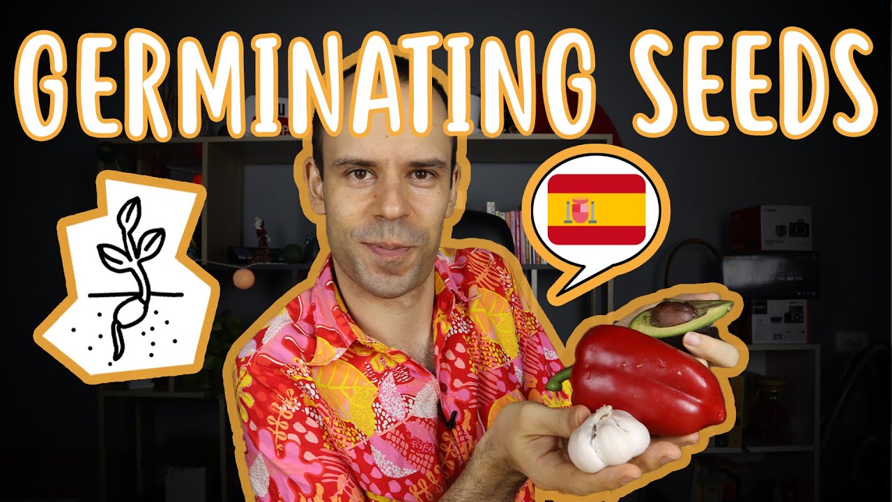 Spanish Comprehensible Input | Let's germinate some seeds - Beginner Spanish
