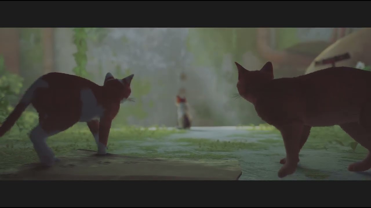 Opening of Stray(Game)
