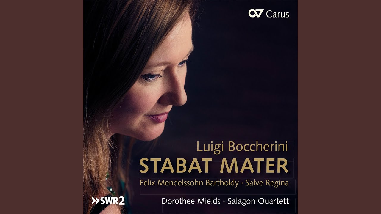 Boccherini: Stabat Mater para soprano y orquesta de cuerda, Op. 61, G 532 - IX. Fac Ut Portem....
