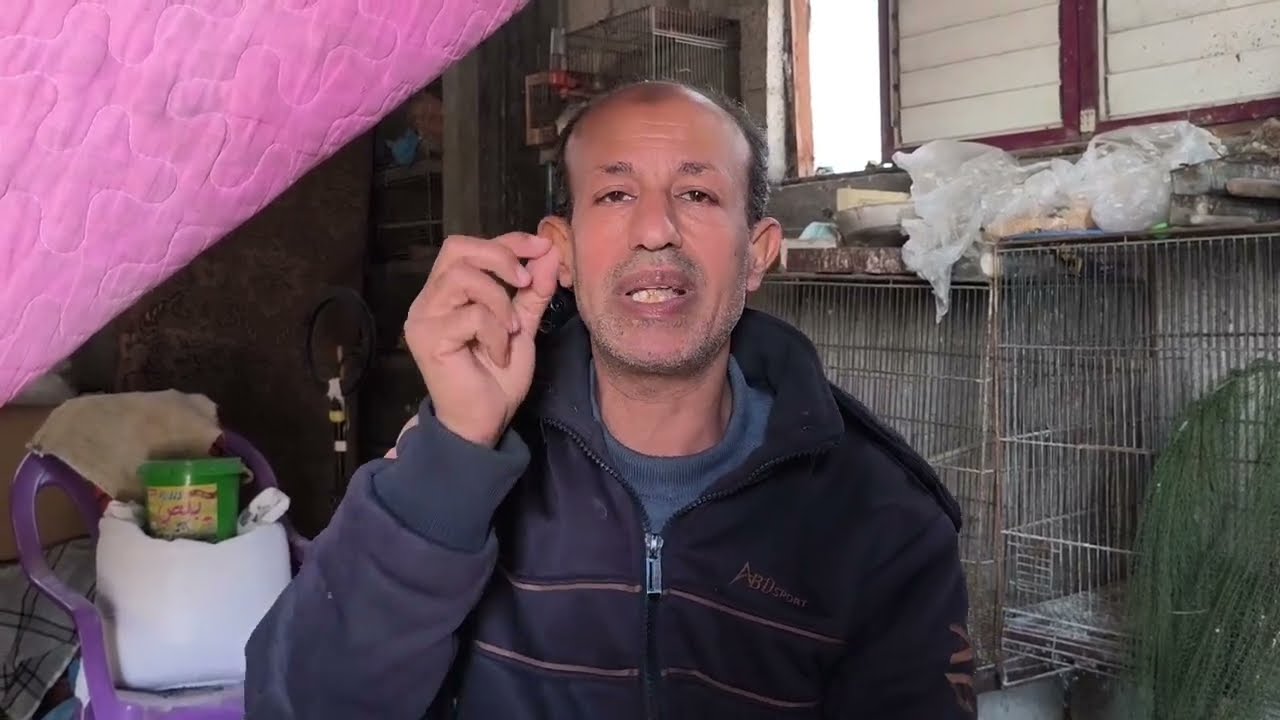 العمى عند عصافير الزينة والثوم 🥀