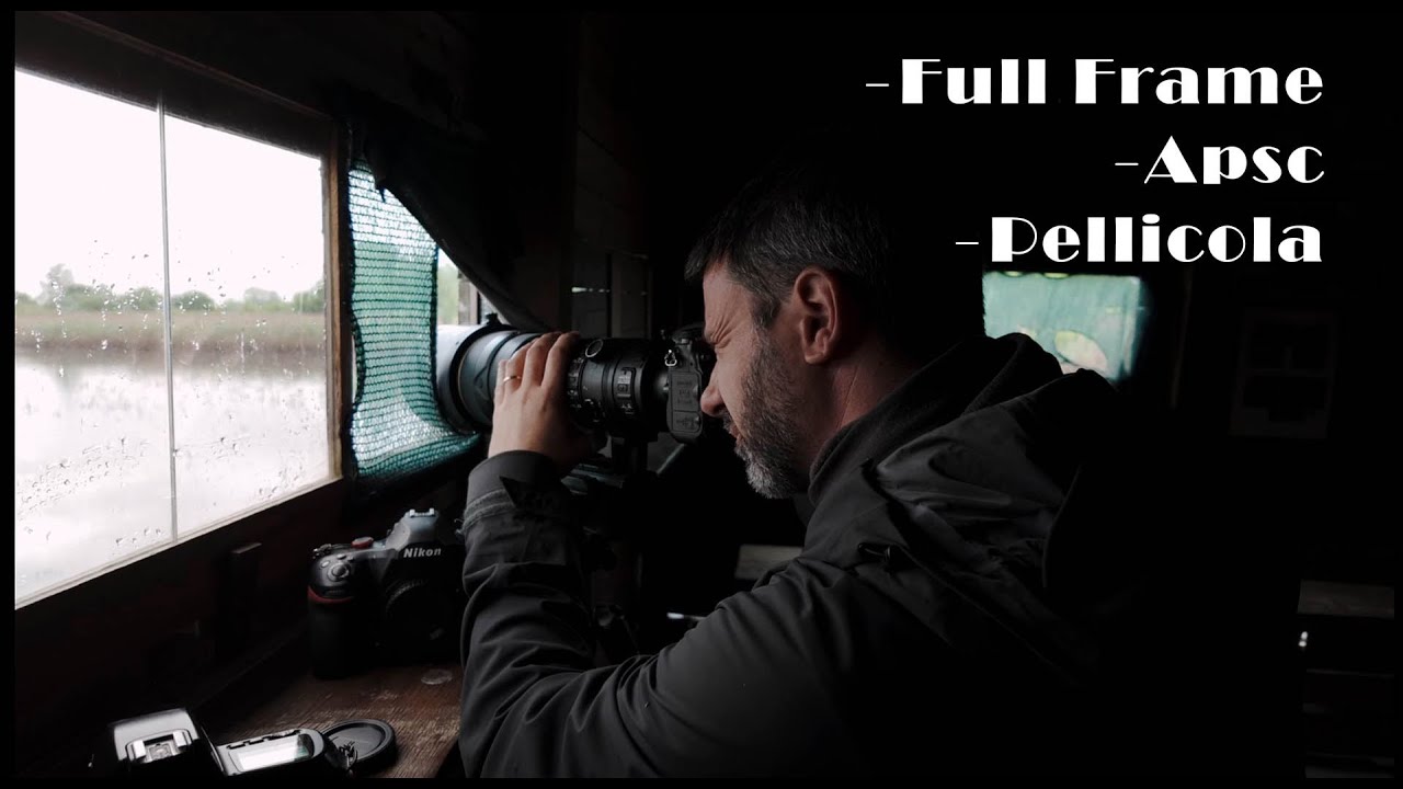 Comparazione FullFrame - Apsc - Pellicola. Capiamo meglio le differenze.