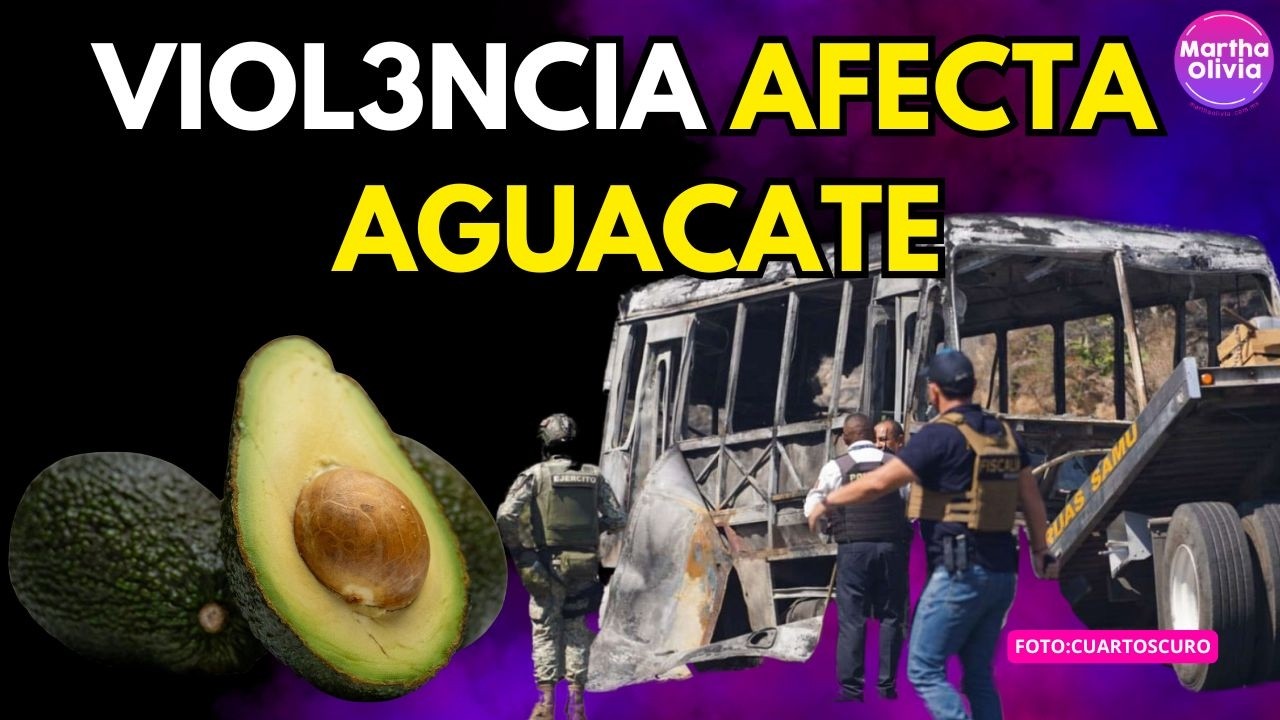 Tras la caída de “El Mencho”: suspensión total de exportación de aguacate en Michoacán y Jalisco