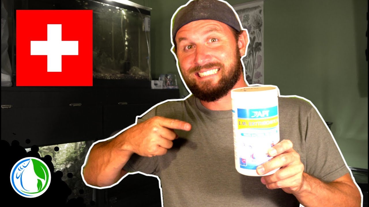 E.M. ERYTHROMYCIN FOR MEDICATING AQUARIUM FISH