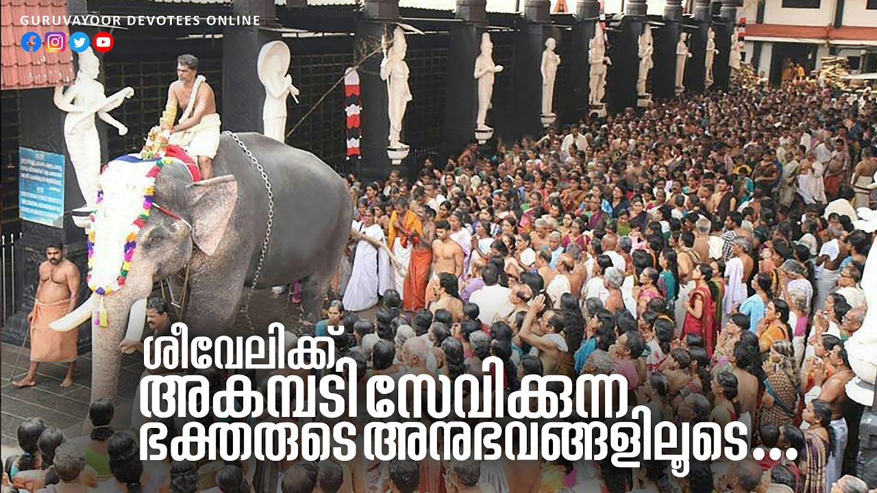 ഗുരുവായൂരപ്പന്റെ ശീവേലിക്ക് അകമ്പടി സേവിക്കുന്ന ഭക്തരുടെ അനുഭവങ്ങളിലൂടെ|GURUVAYOOR TEMPLE|SEEVELI