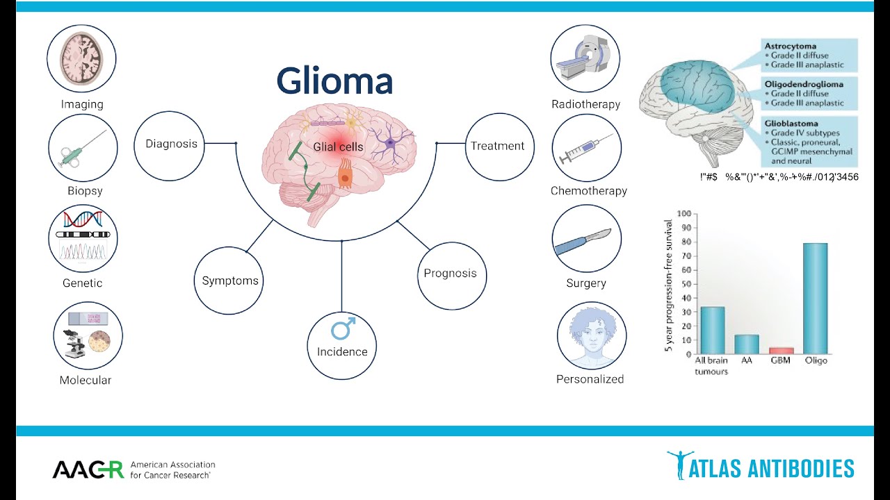 Glioma Biology and Molecular Markers