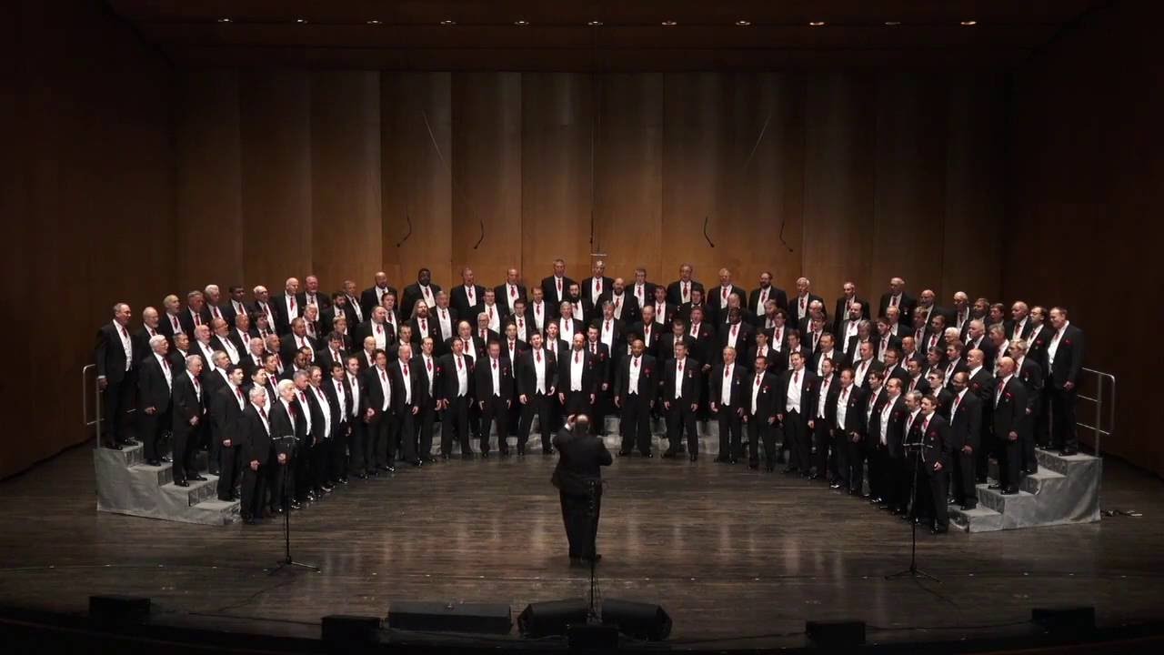 The Ambassadors of Harmony - That Ever I Saw
