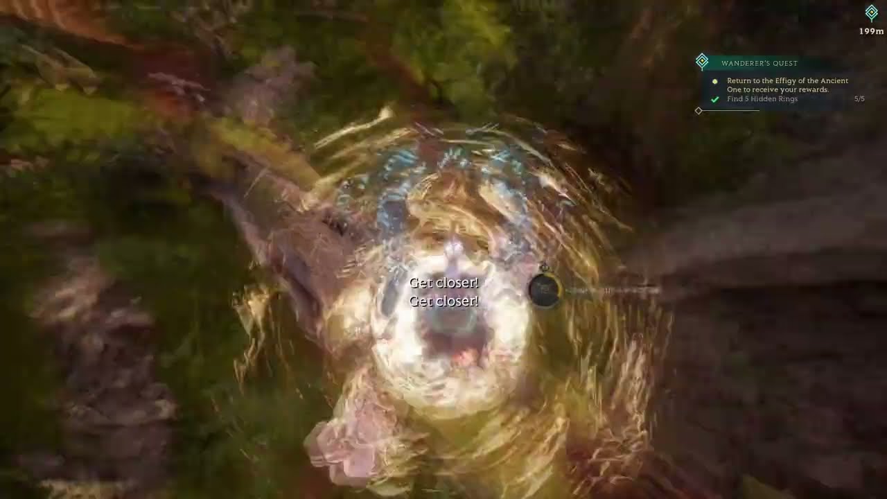 Islands of Insight Ep. 142: A Jaunt in the Shady Wildwood