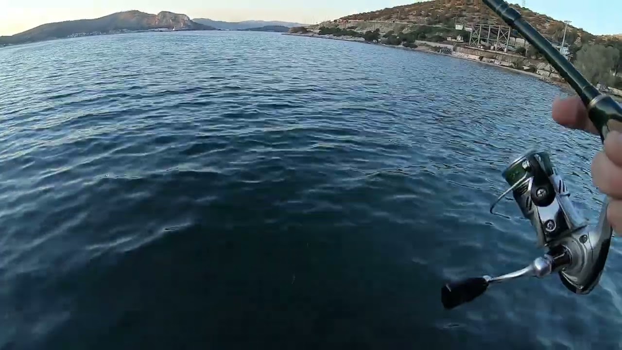 ψάρεμα 1 2026 EGING υπομονή & επίμονη το δίδυμο της επιτυχίας προφητικά τα λεγόμενα του προλαλήσας