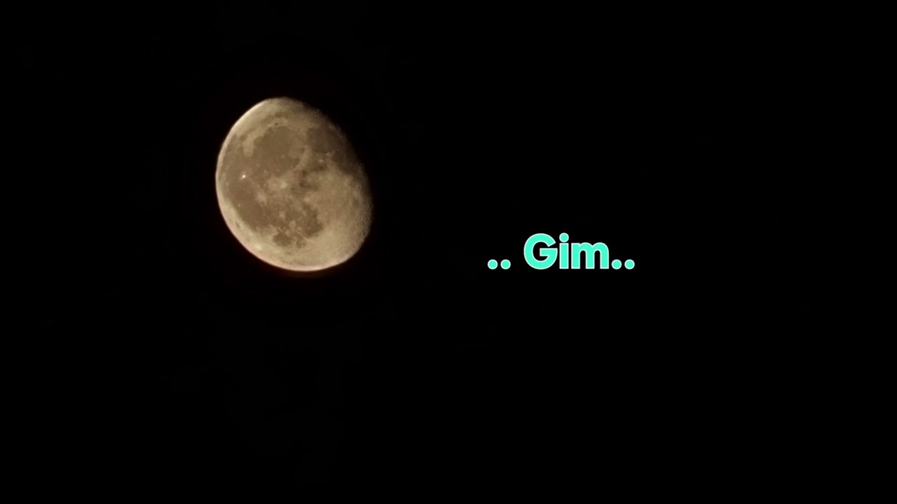 GIM - Adevarul Despre GIM!