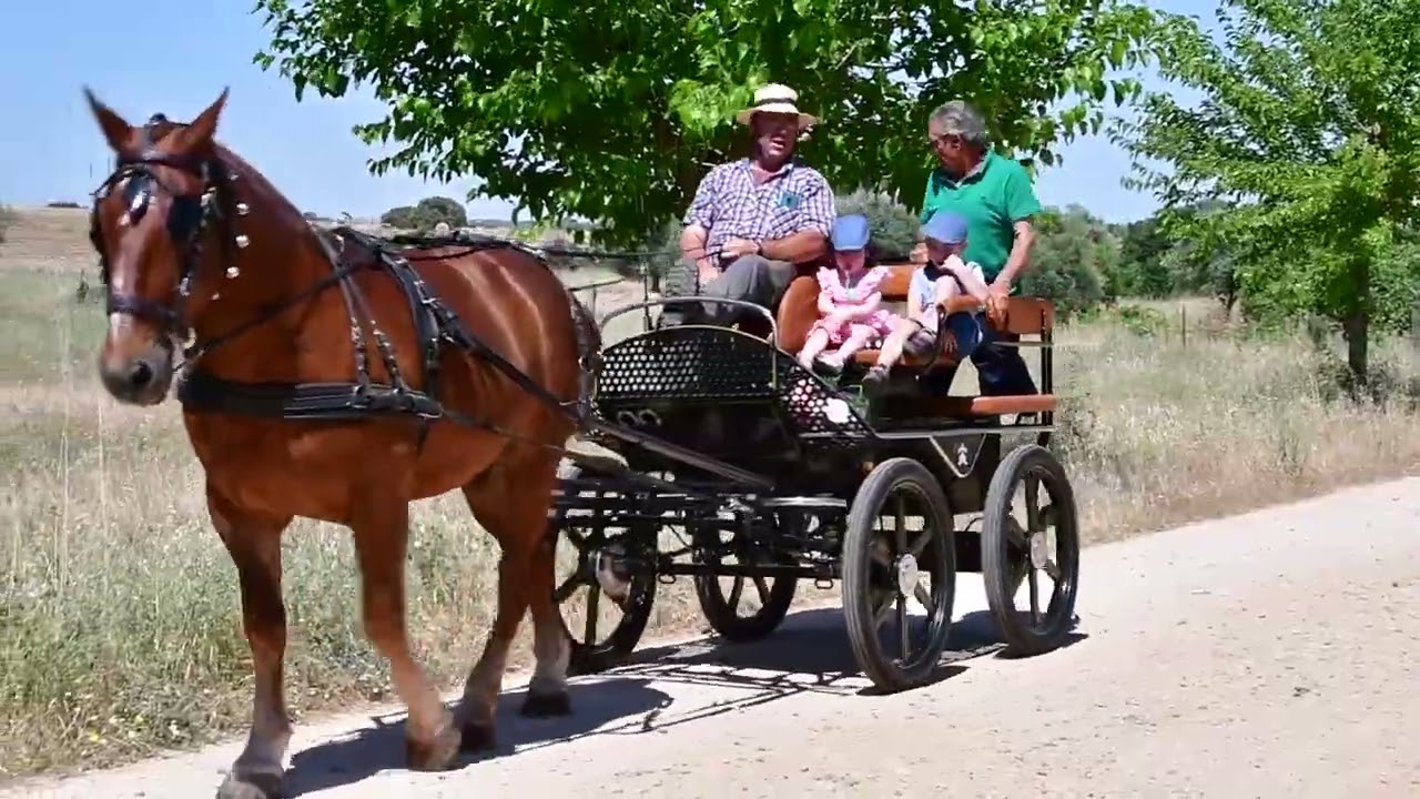 Romería Virgen del Rosario - Alcañizo