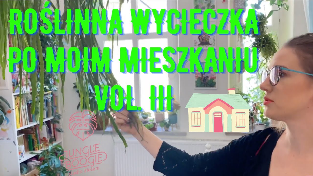 Roślinna wycieczka po moim mieszkaniu - część III