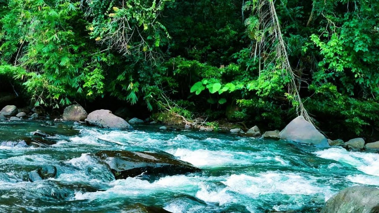 Gentle River Flow Sounds 🌊 Calm White Noise for Sleep