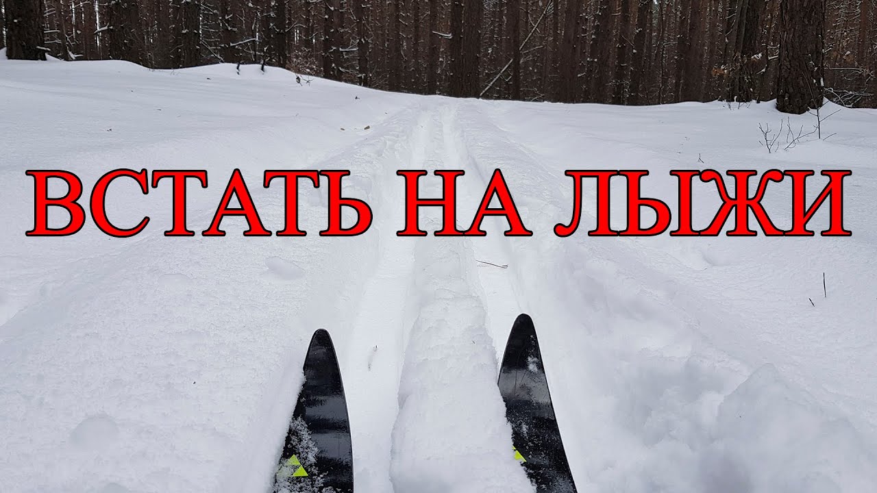 Встать на лыжи под Киевом! Завтрак в лесу.  Зима 2021. Лыжи Киев.