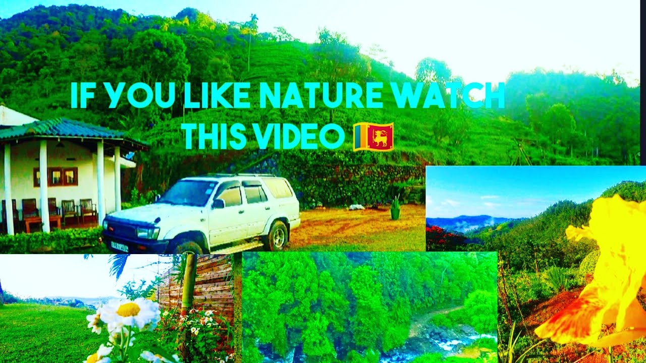 Travel Vlog Sri Lanka | Himagiri Etate Holiday Bungalow Beweraliya Deniyaya 🇱🇰