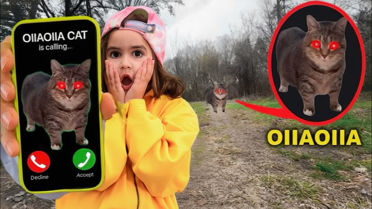 OIA OIA CAT ARIYOR  SAKIN AÇMA ⁉️ OIA OIA CAT KAPIDA ⁉️