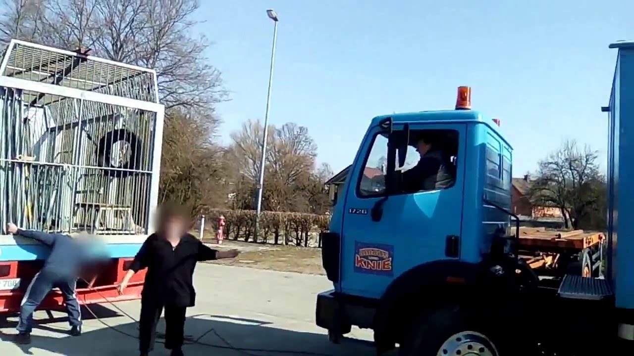 Zirkusbär Ben - Tumult bei Beschlagnahmung - Besitzer flieht