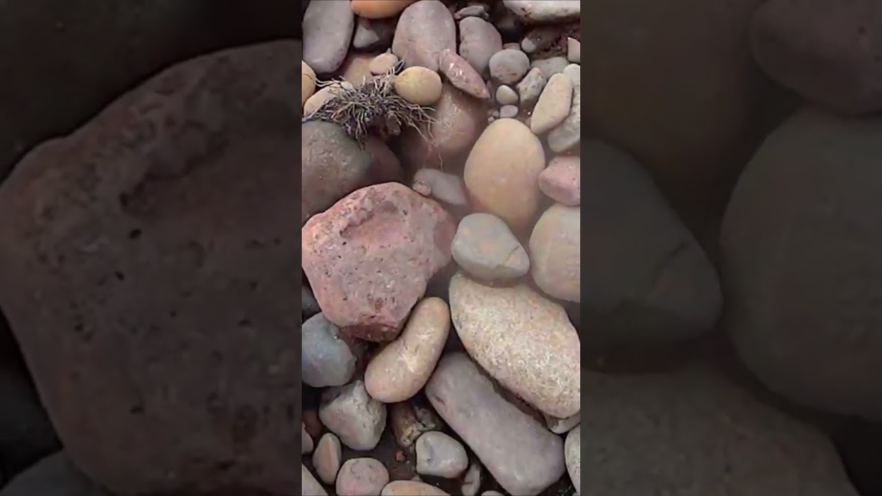 Pedra muito estranha no meio do cascalho me deixou encucado