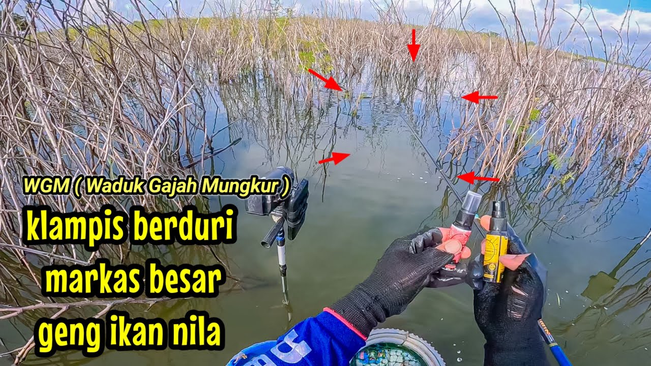 KELAMPIS BERDURI WADUK GAJAH MUNGKUR SARANGNYA IKAN NILA | mancing ikan nila di  Waduk Gajah Mungkur