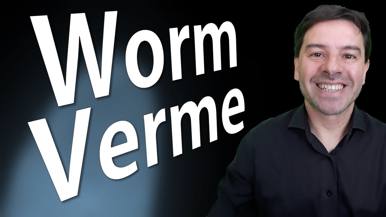 Worm e os ataques de vermes